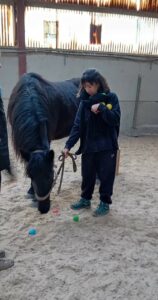 725b4141-acfb-4b25-8875-2c04ff7e2d78