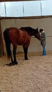 9a5ad884-b84f-471c-9415-79fa289ac8c3