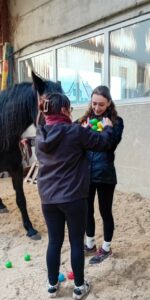 dbcb594e-7a9c-4026-b069-cf32491c3884